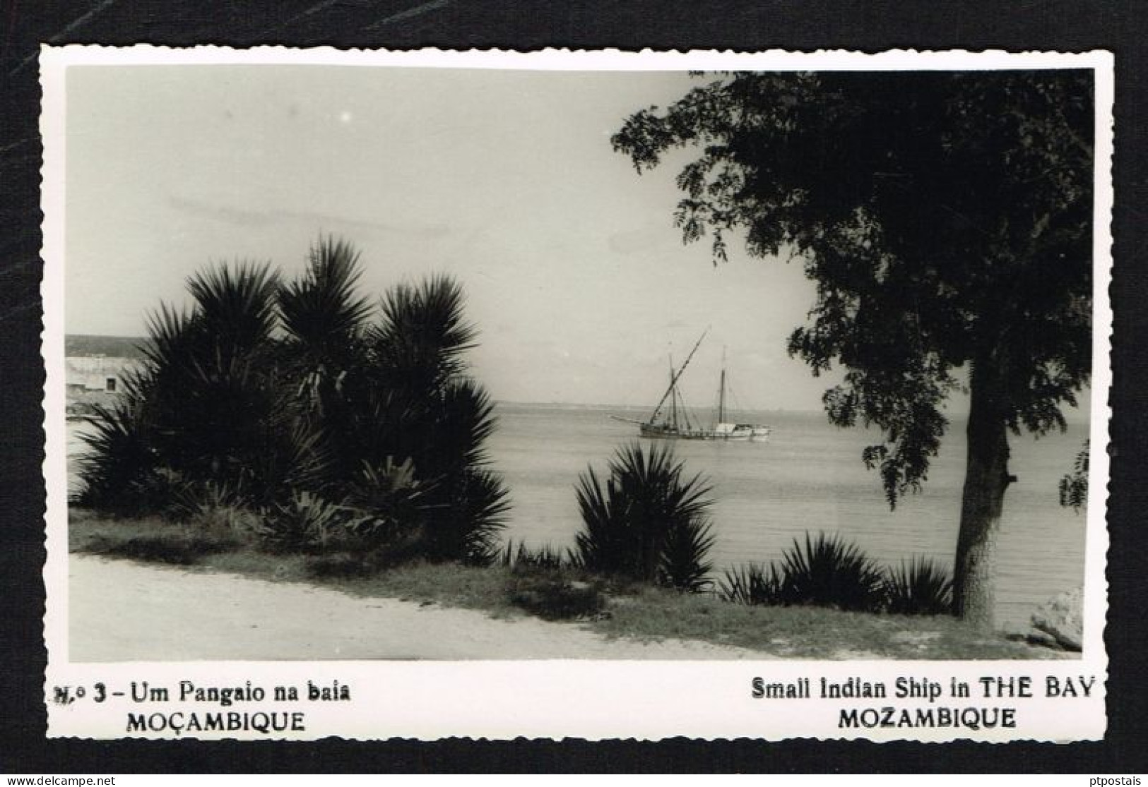 MOÇAMBIQUE MOZAMBIQUE (Africa) - Small Indian Ship In The Bay RARE PHOTO-POSTCARD - Mozambique