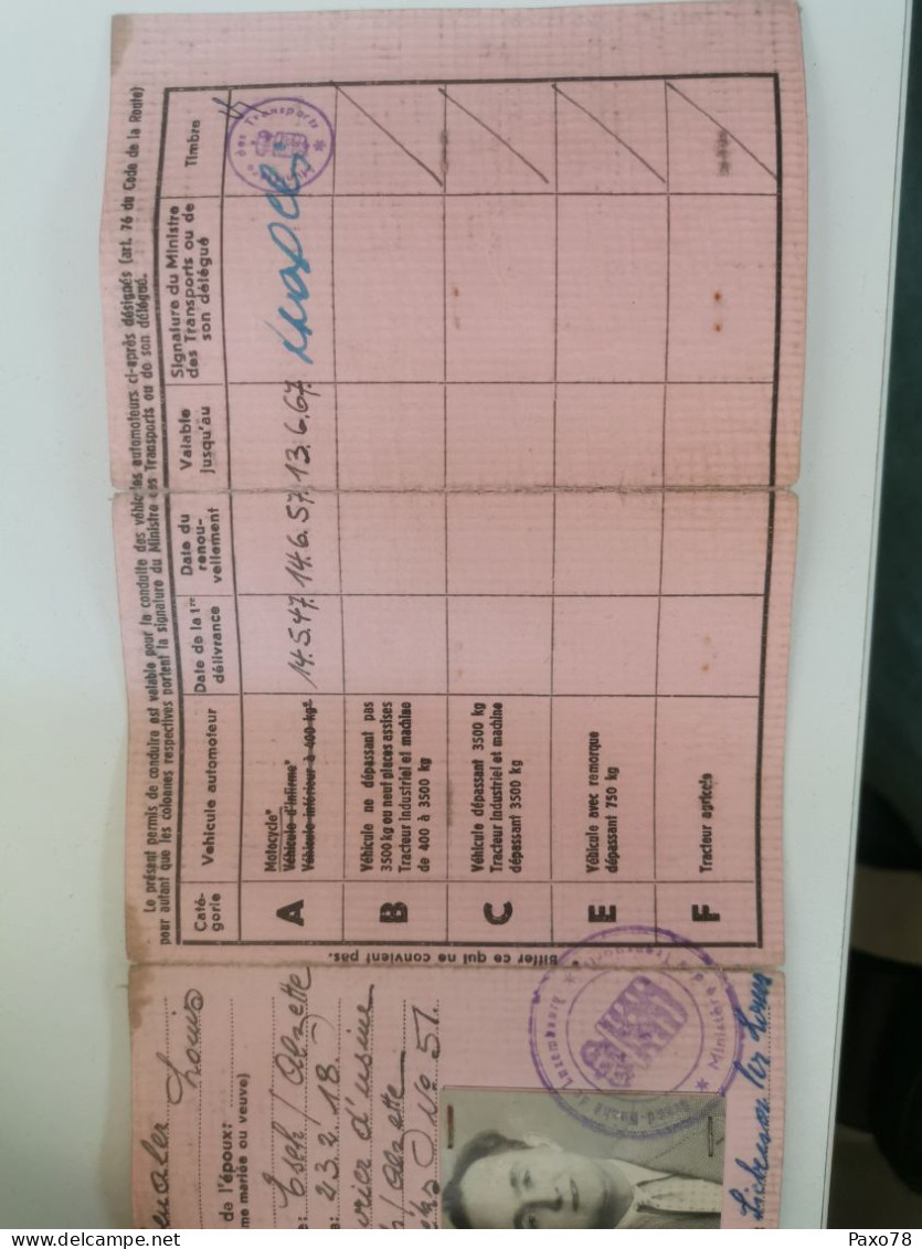 Luxembourg, Permis De Conduire 1947, Esch-Alzette - Briefe U. Dokumente