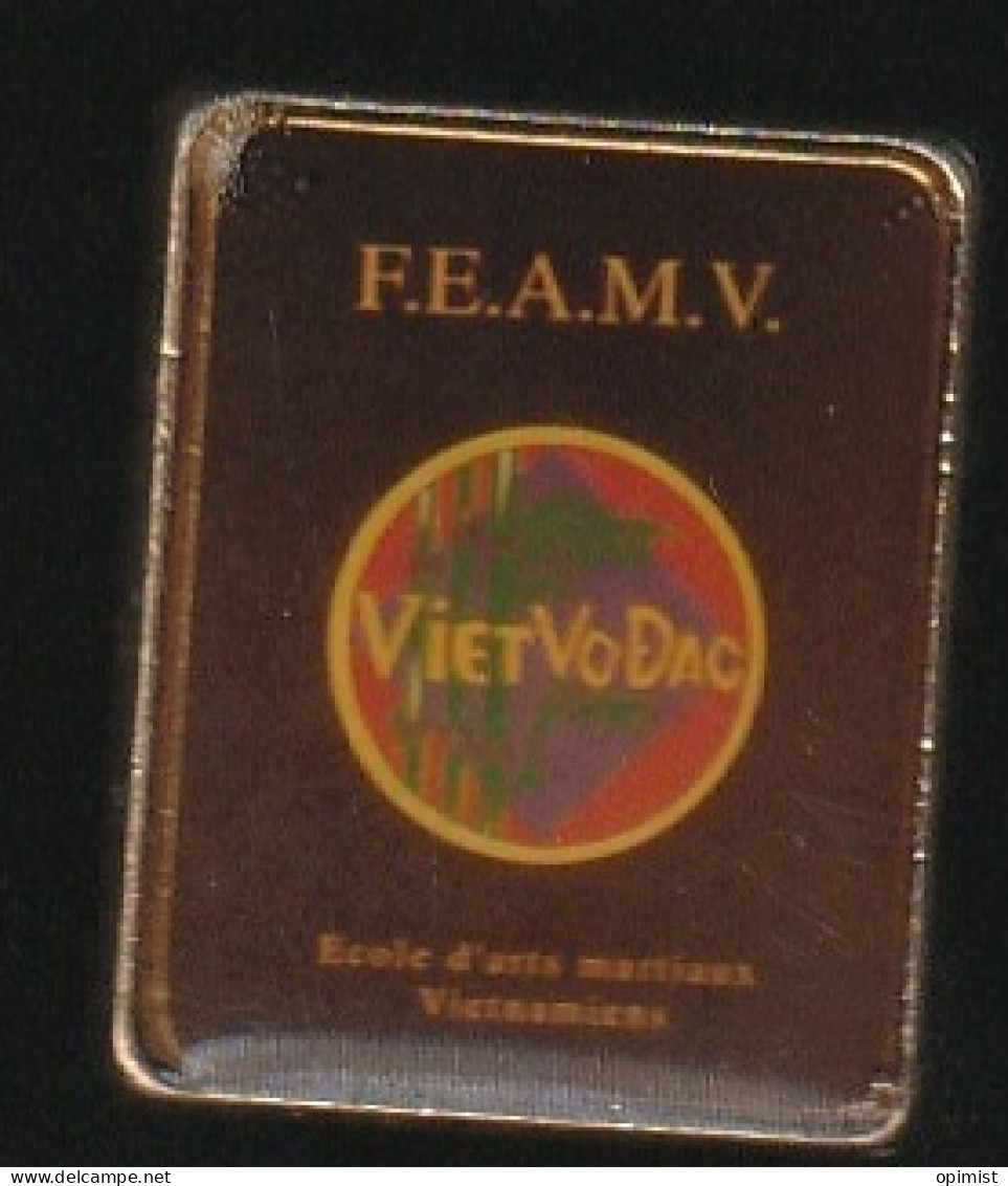 76572- Pin's.-FEAMV.Logne.Vietvodao.arts Martiaux. - Judo