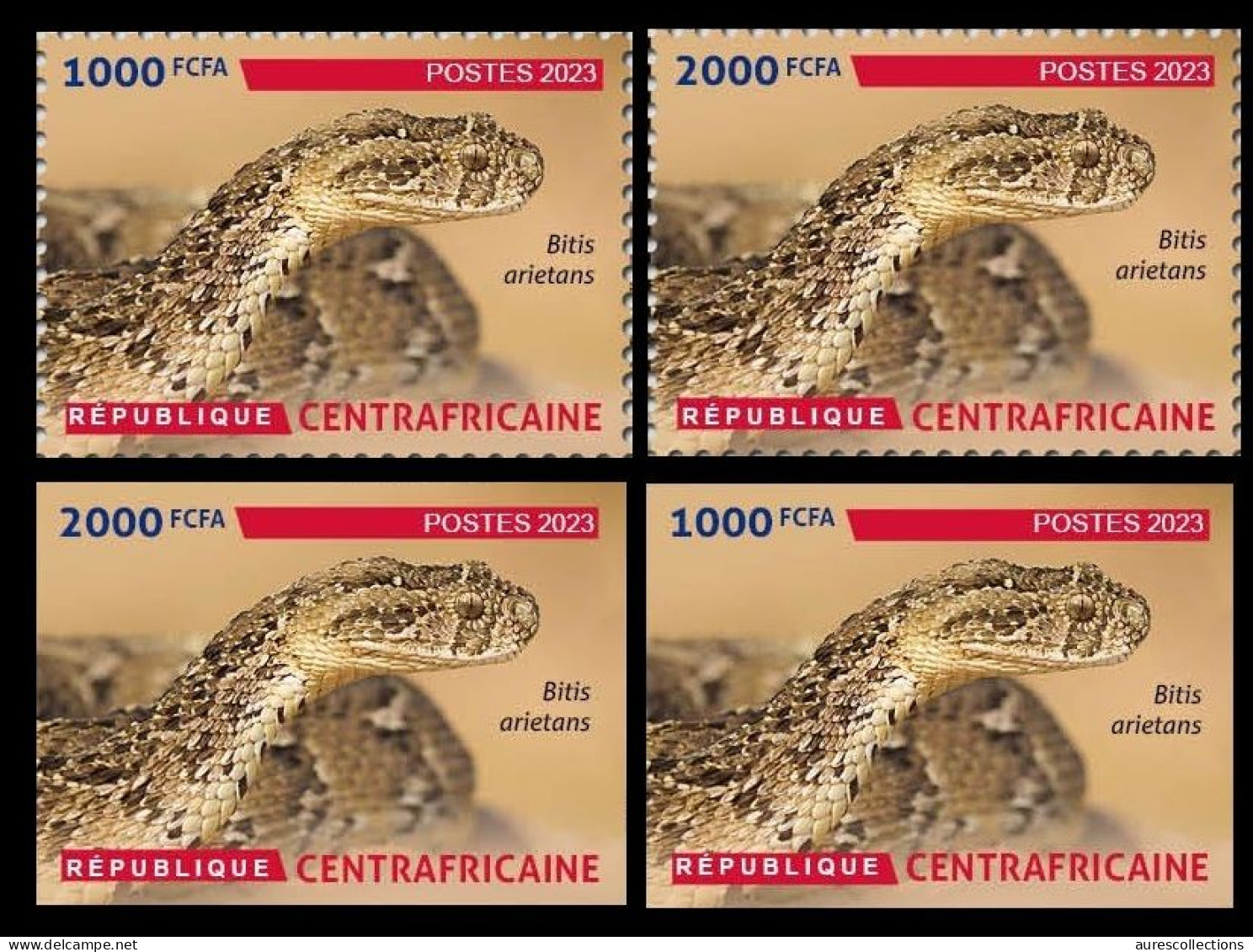 CENTRAL AFRICAN 2023 - SET 2V 1000F & 2000F - PERF & IMPERF - SNAKE SNAKES SERPENTS SERPENT - BIODIVERSITY - MNH - Serpents