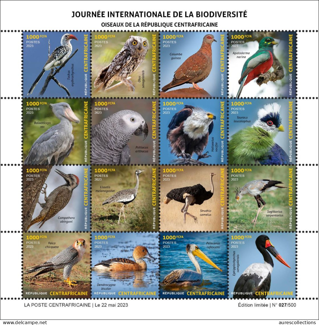 CENTRAL AFRICAN 2023 - SHEET 16V - BIRDS OWLS DOVES DUCK PARROT OSTRICH SECRETARY BIRD EAGLE PELICAN FALCON HAWK - MNH - Straussen- Und Laufvögel