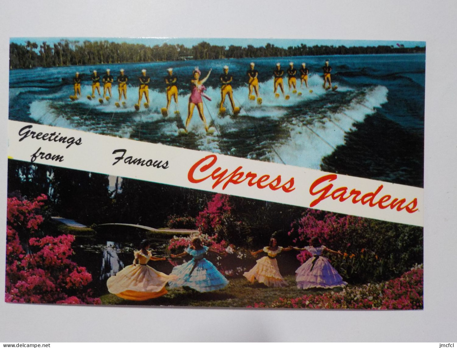 CHARLESTON  Greetings From Famous Cypress Gardens - Charleston