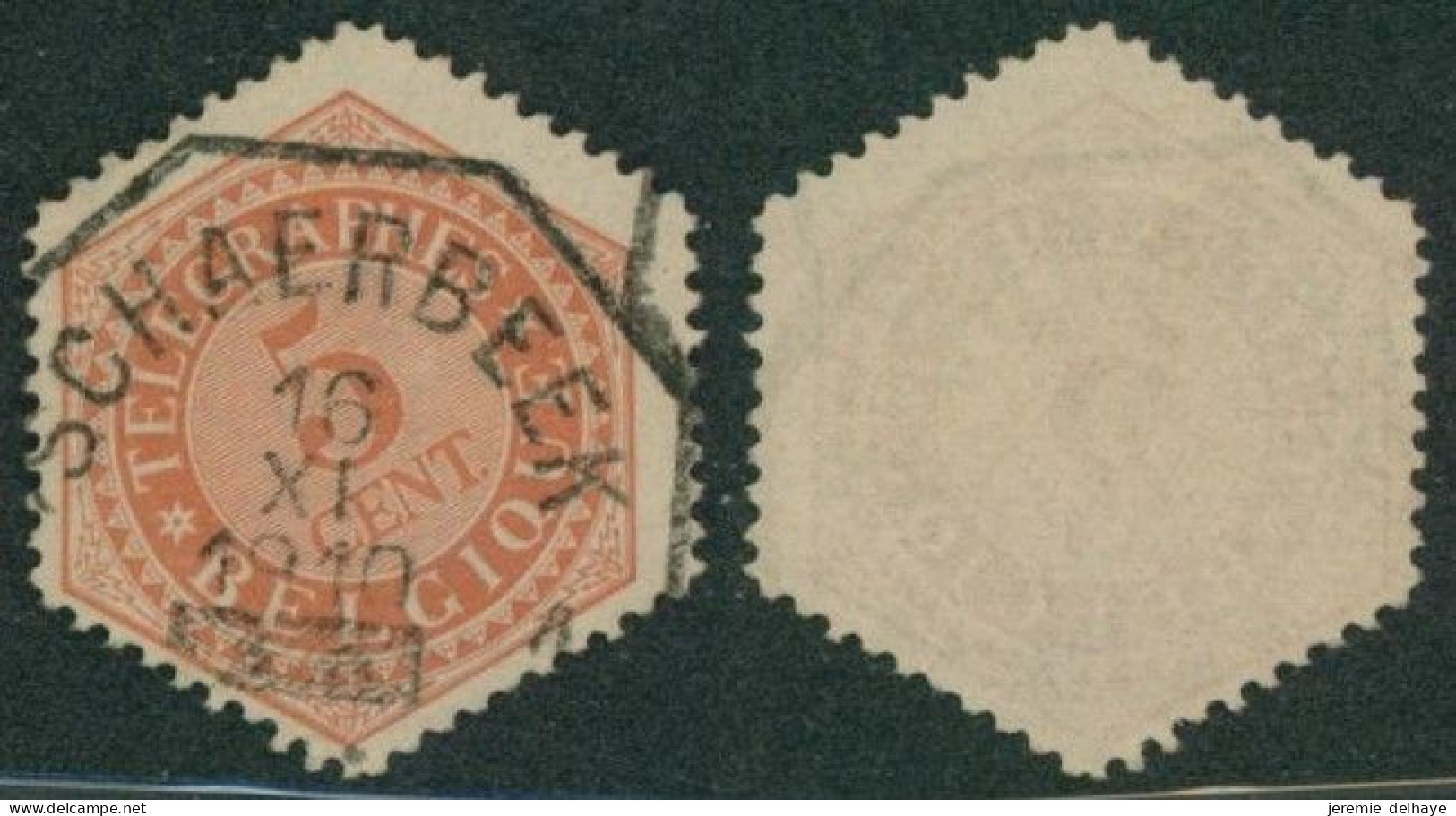 Télégraphe - TG9 Obl Chemin De Fer (hexagonal) "Schaerbeek 1" - Timbres Télégraphes [TG]