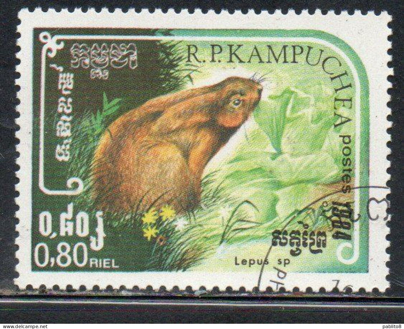 CAMBODIA KAMPUCHEA CAMBOGIA 1984 FAUNA WILD ANIMALS LEPUS 80c USED USATO OBLITERE' - Kampuchea