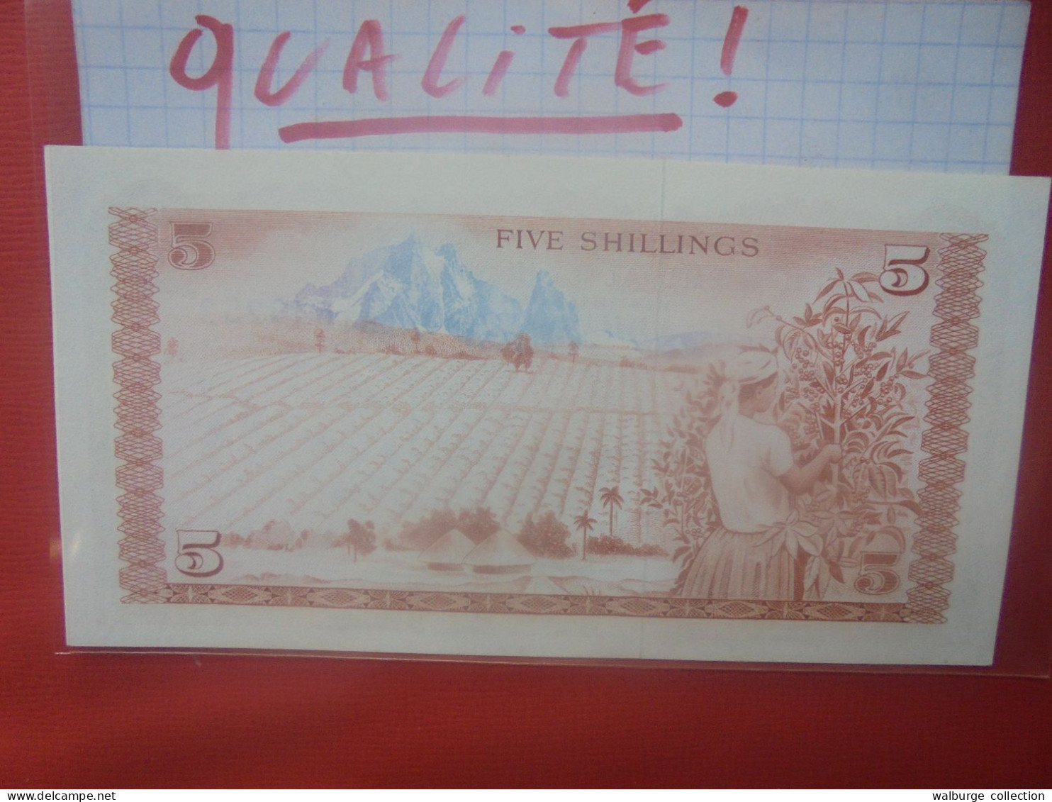 KENYA 5 SHILLINGS 1975 Peu Circuler Belle Qualité (B.29) - Kenya