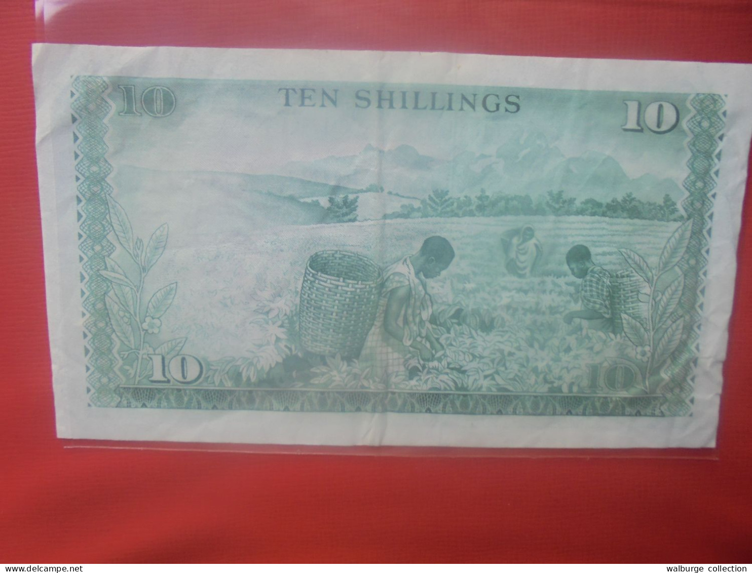 KENYA 10 SHILLINGS 1972 Circuler (B.29) - Kenya