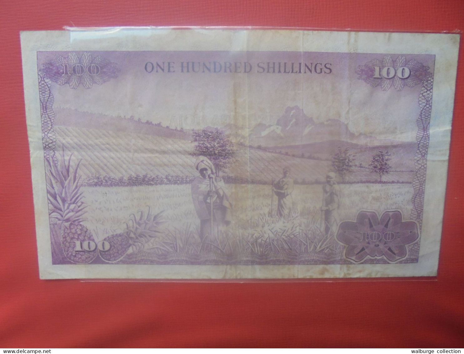 KENYA 100 SHILLINGS 1971 Circuler (B.29) - Kenia