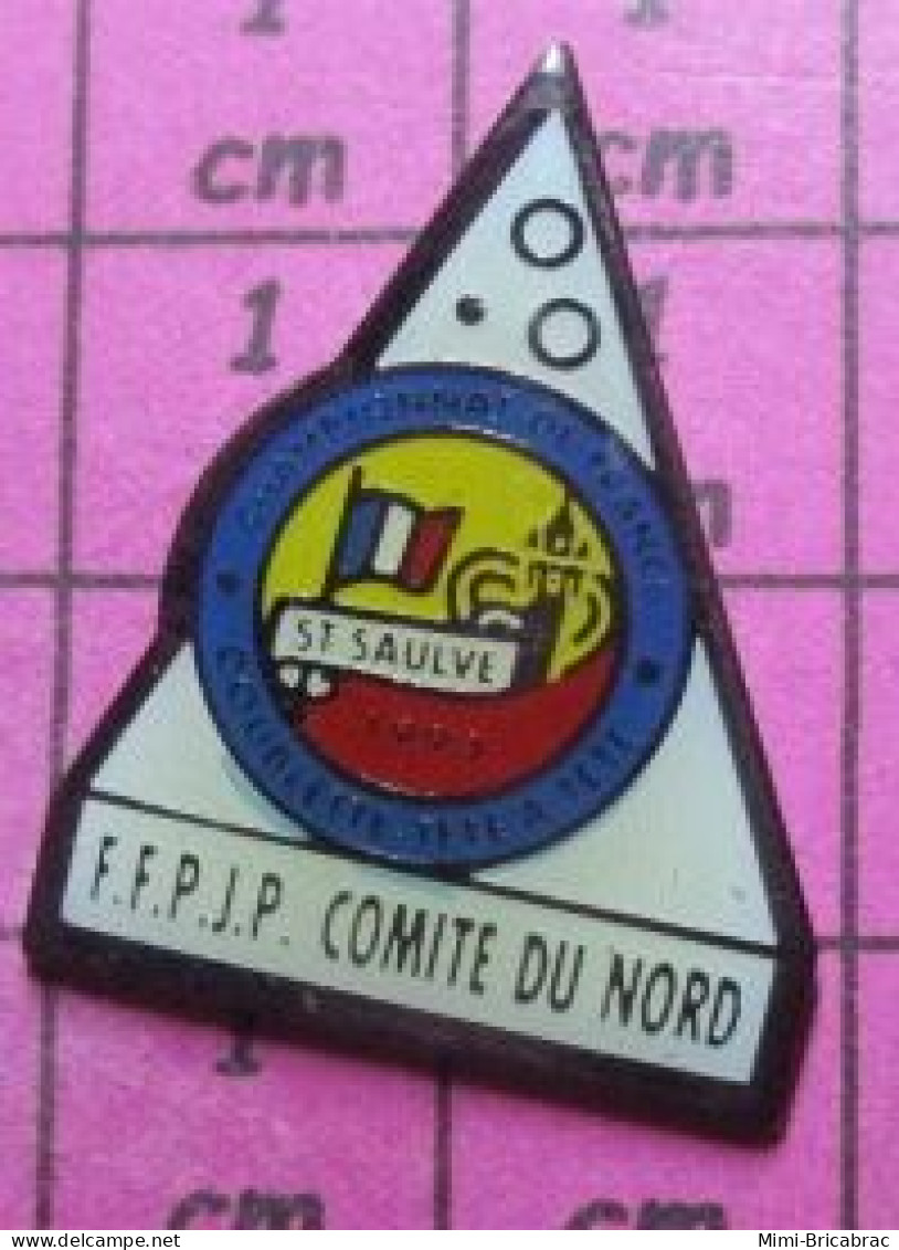 716A Pin's Pins / Beau Et Rare / SPORTS / PETANQUE COMITE DU NORD FFPJP ST SAULVE - Pétanque