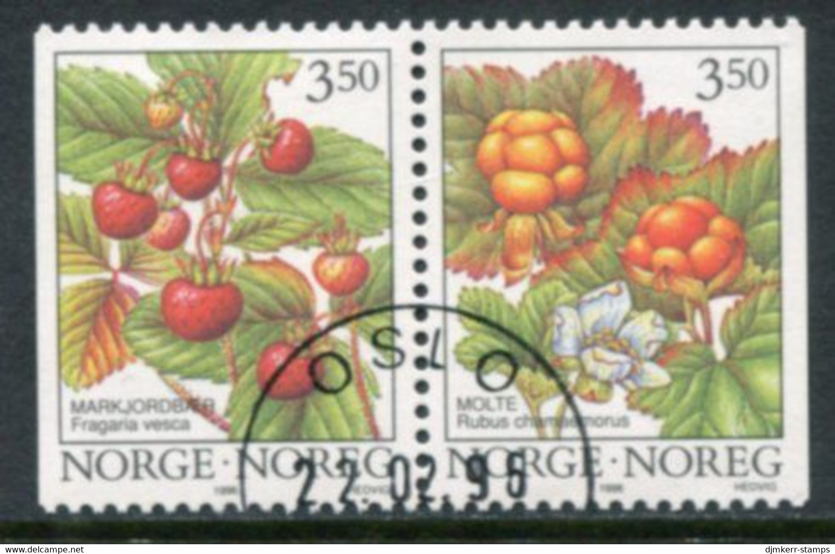 NORWAY 1996 Forest Berries Used.   Michel 1204-05 - Oblitérés