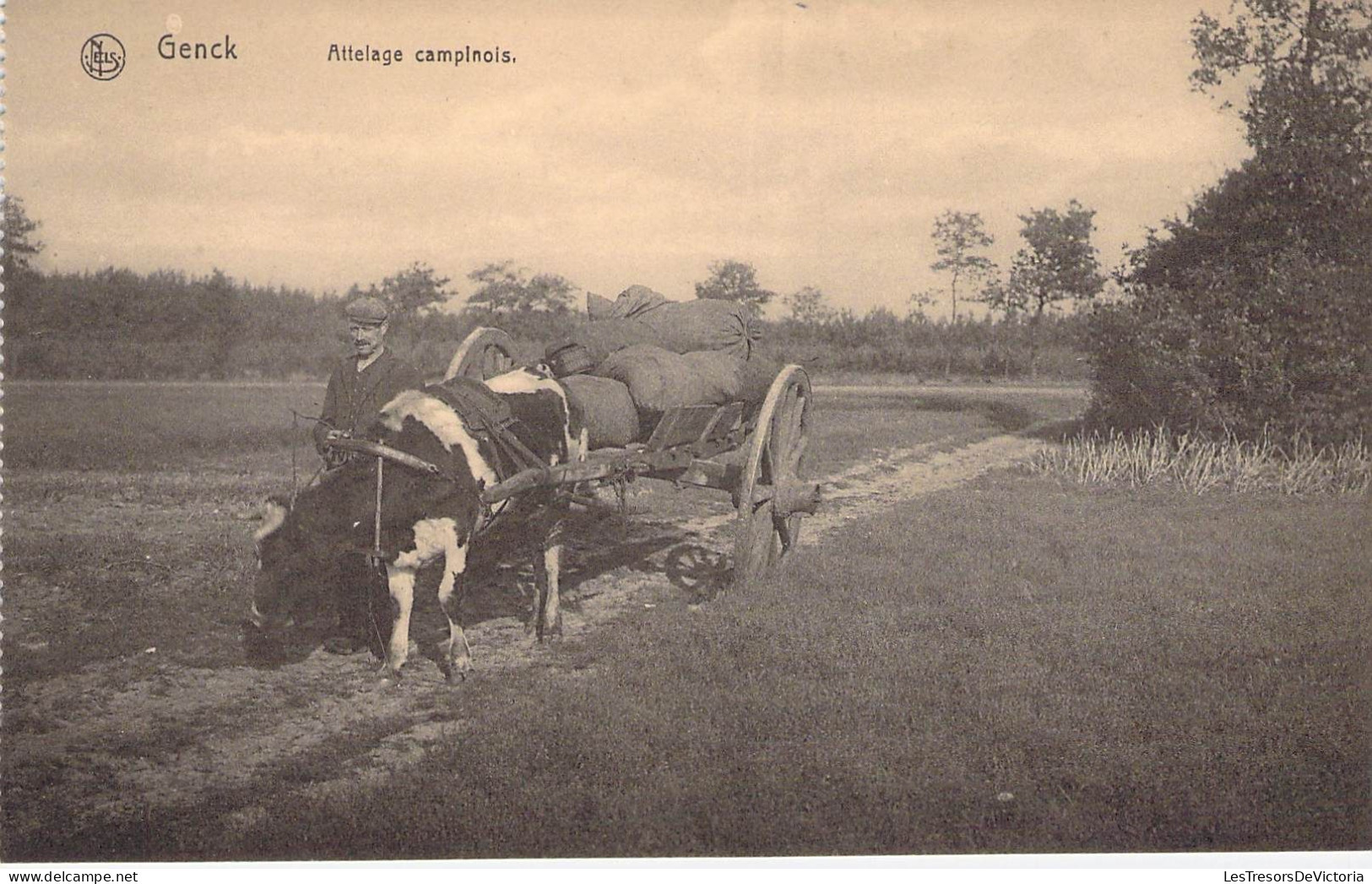 Belgique - Genck - Attelage Campinois - Carte Carnet - Nels - Maison Stulens - Carte Postale Ancienne - Genk