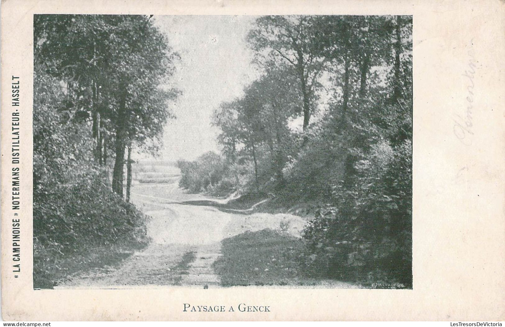 Belgique - Paysage à Genck - La Campinois Notermans Distillateur - Madame Vandoren - Carte Postale Ancienne - Genk