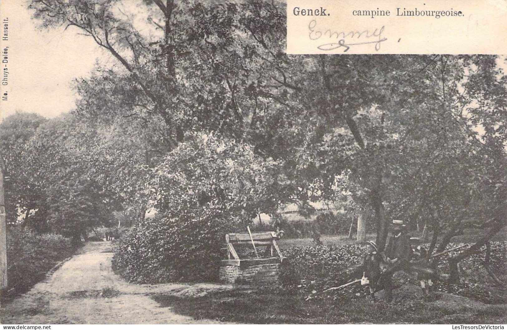 Belgique - Genck - Campine Limbourgeoise - Me Ghuys Delée  - Carte Postale Ancienne - Genk