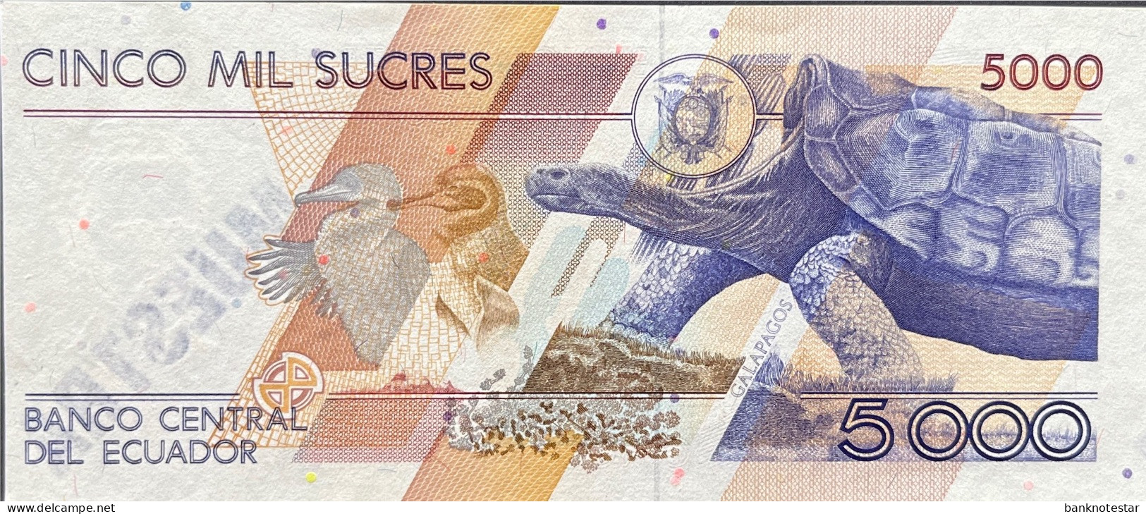 Ecuador 5.000 Sucres, P-126/MUESTRA (01.12.1987) - UNC - Equateur