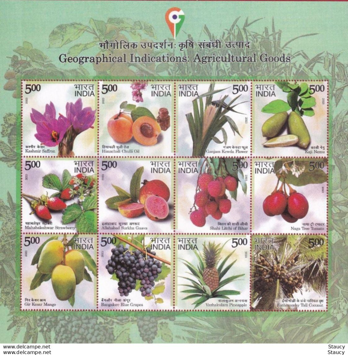 India 2023 GI Geological Indications: Agricultural Goods Of India Full 12v Sheetlet / Miniature Sheet MS MNH As Per Scan - Agriculture