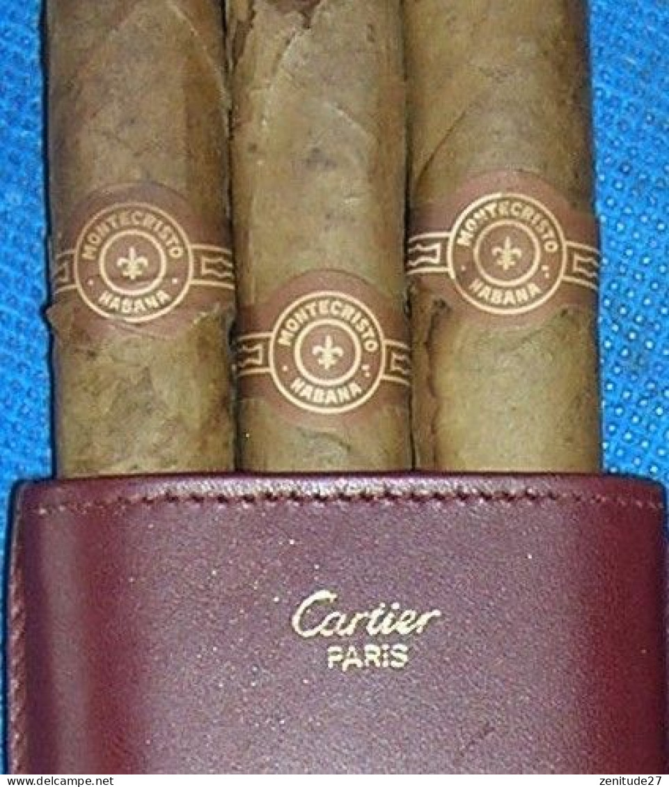 Etui à Cigare En Cuir - Contenitore Di Sigari