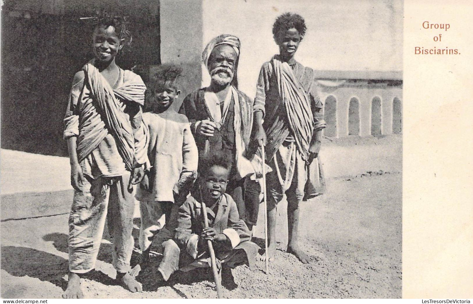 Egypte - Group Of Bisciarins - Marques & Fiorillo - Carte Postale Ancienne - Aswan