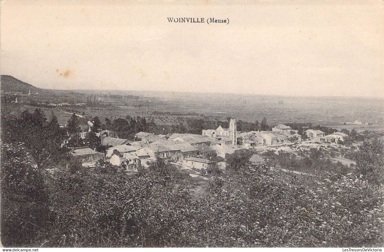 France - Woinville - Panorama - Carte Postale Ancienne - Commercy