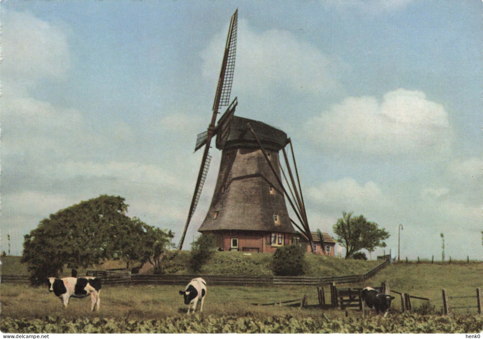 Aalsmeer Molen LD194 - Aalsmeer