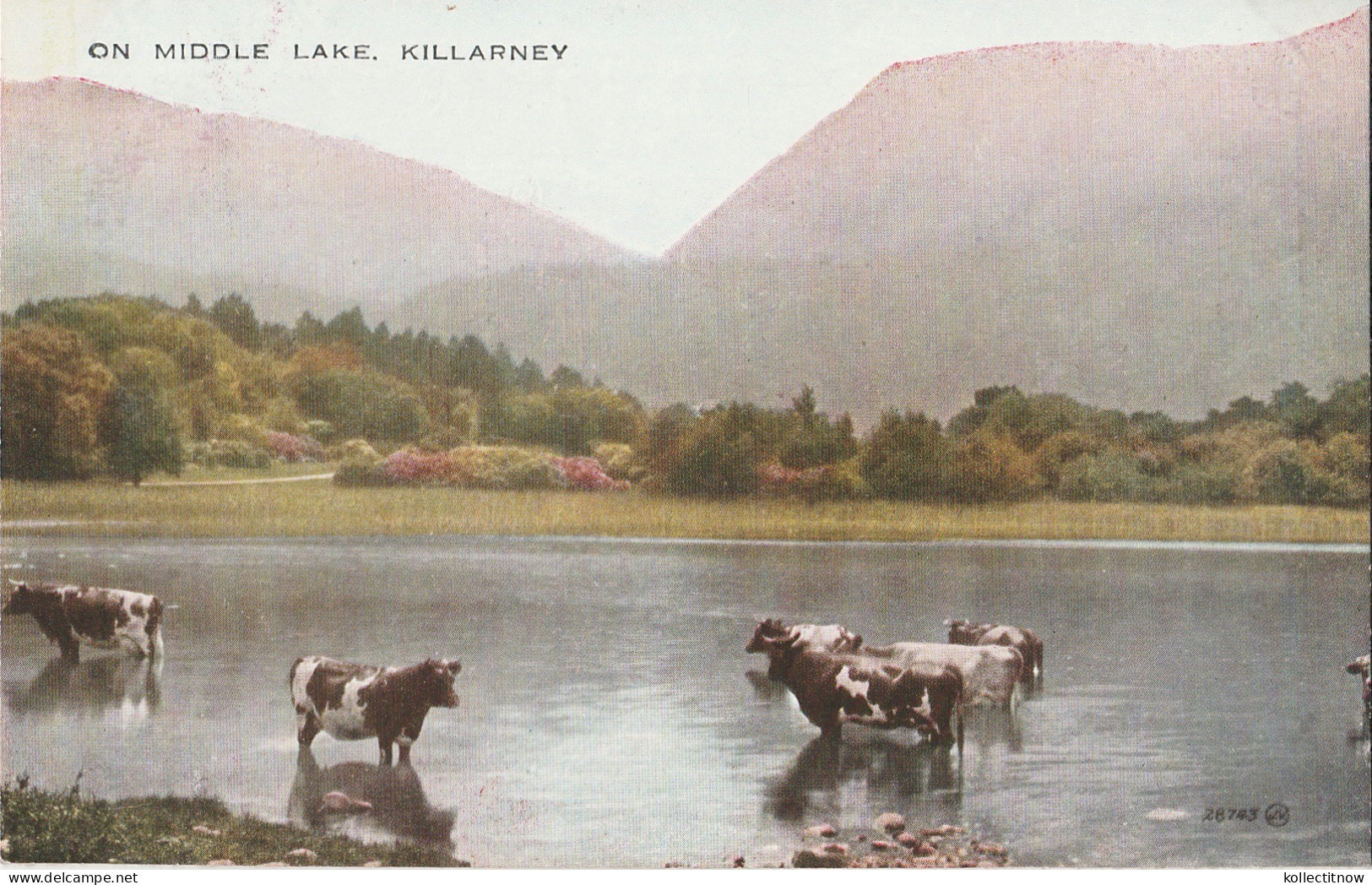 ON MIDDLE LAKE - KILLARNEY - Kilkenny