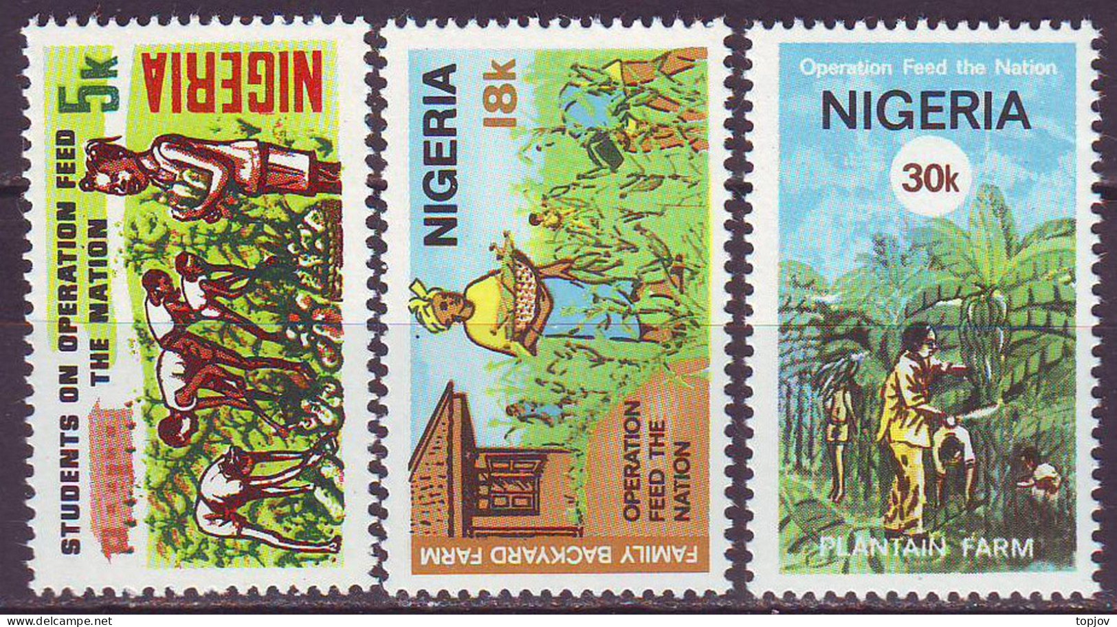 NIGERIA - FARMS - AGRO - **MNH - 1977 - Agriculture