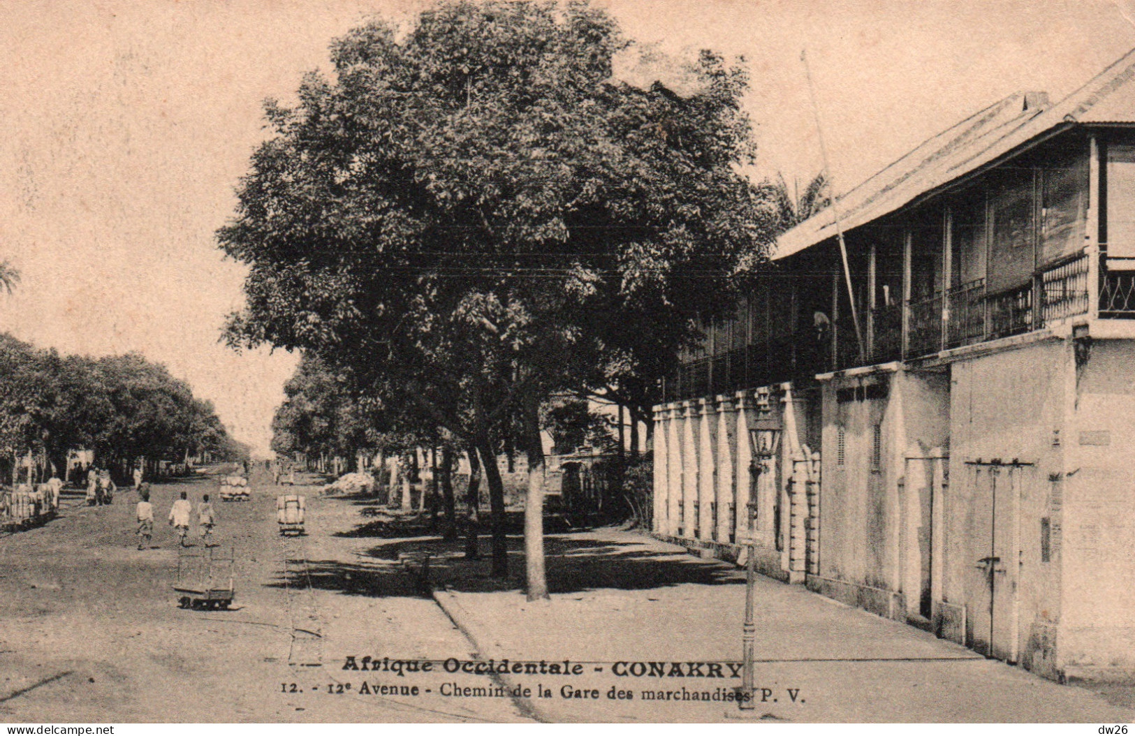 A.O.F. Guinée Française, Conakry: 12e Avenue, Le Chemin De La Gare De Marchandises - Carte P.V. N° 12 - Französisch-Guinea