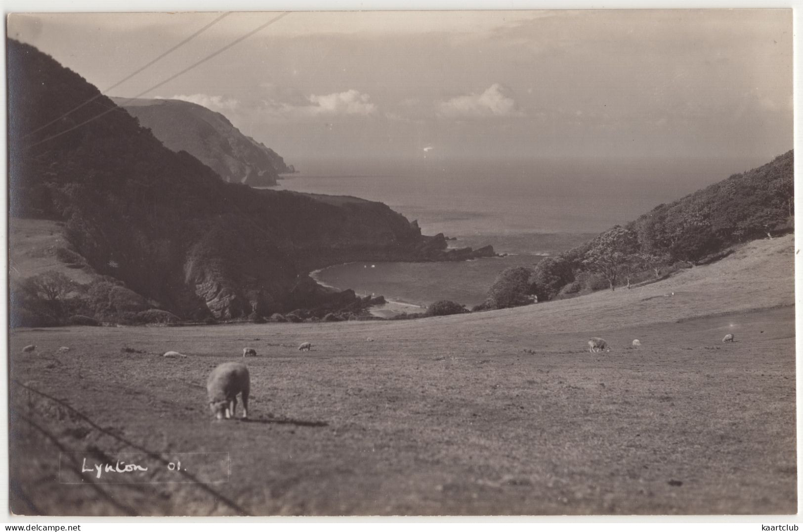 Lynton 01. - (England) - Sheep - Lynmouth & Lynton