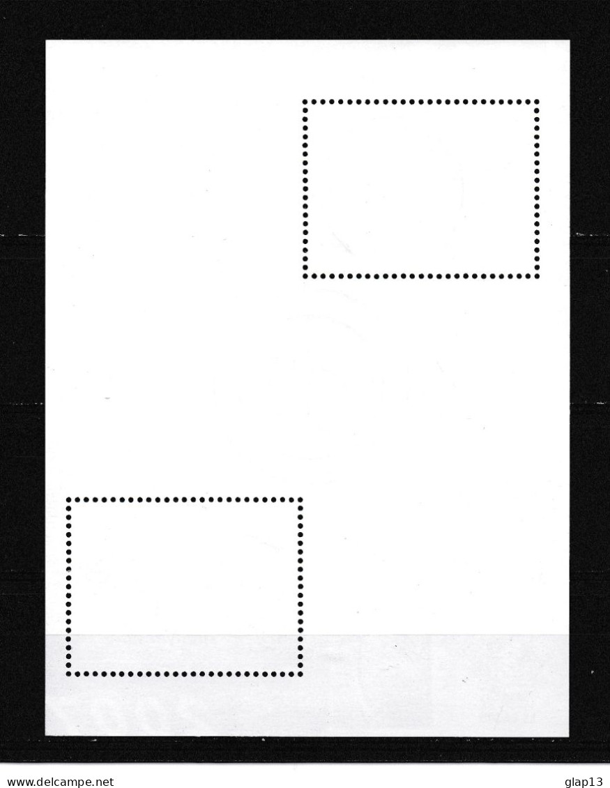 NOUVELLE-CALEDONIE 2007 BLOC N°37 NEUF** LE CAGOU - Blocks & Sheetlets