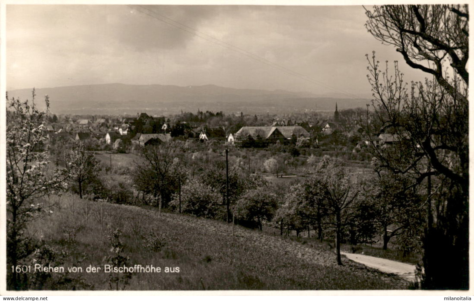 Riehen Von Der Bischoffhöhe Aus (1601) - Riehen