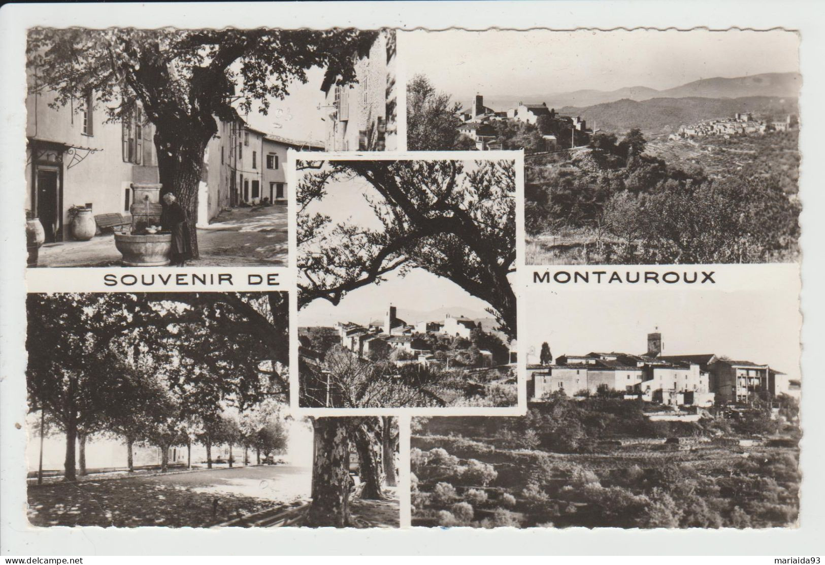 MONTAUROUX - VAR - CARTE MULTIVUES - Montauroux