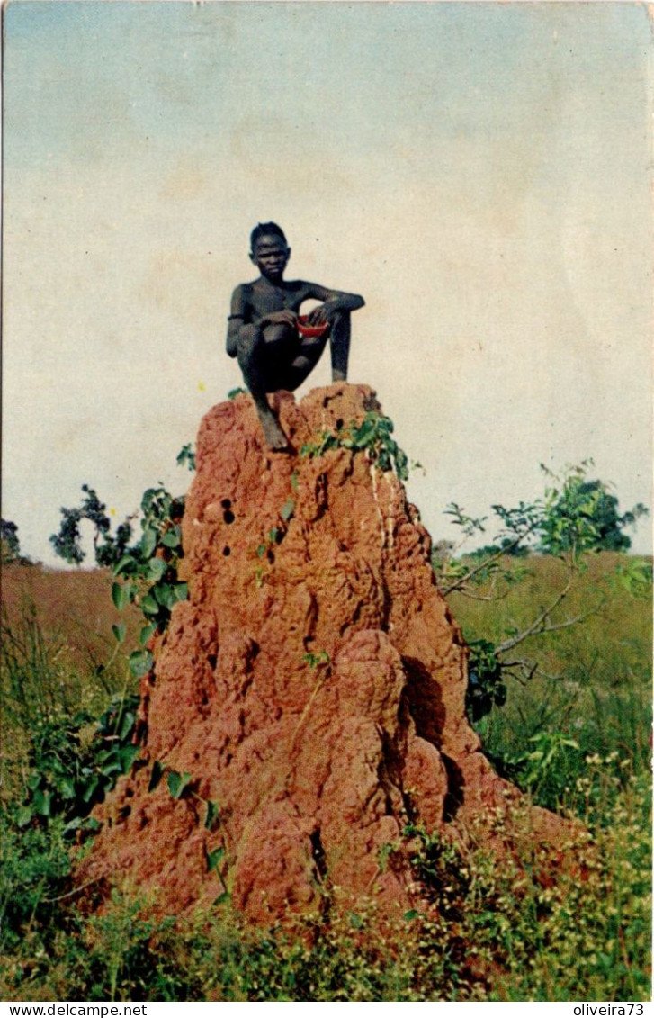 GUINÉ BISSAU - Monte De Baga-Baga - Guinea-Bissau