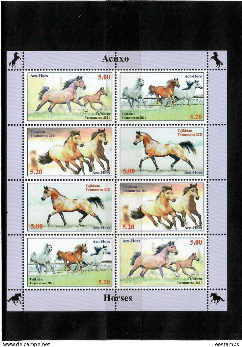 Tajikistan 2021 . Horses.  M/S Of 8 - Tajikistan