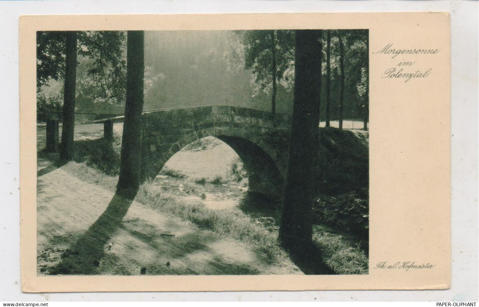 0-8355 NEUSTADT - LANGBURKERSDORF, Brücke Im Polenztal - Neustadt