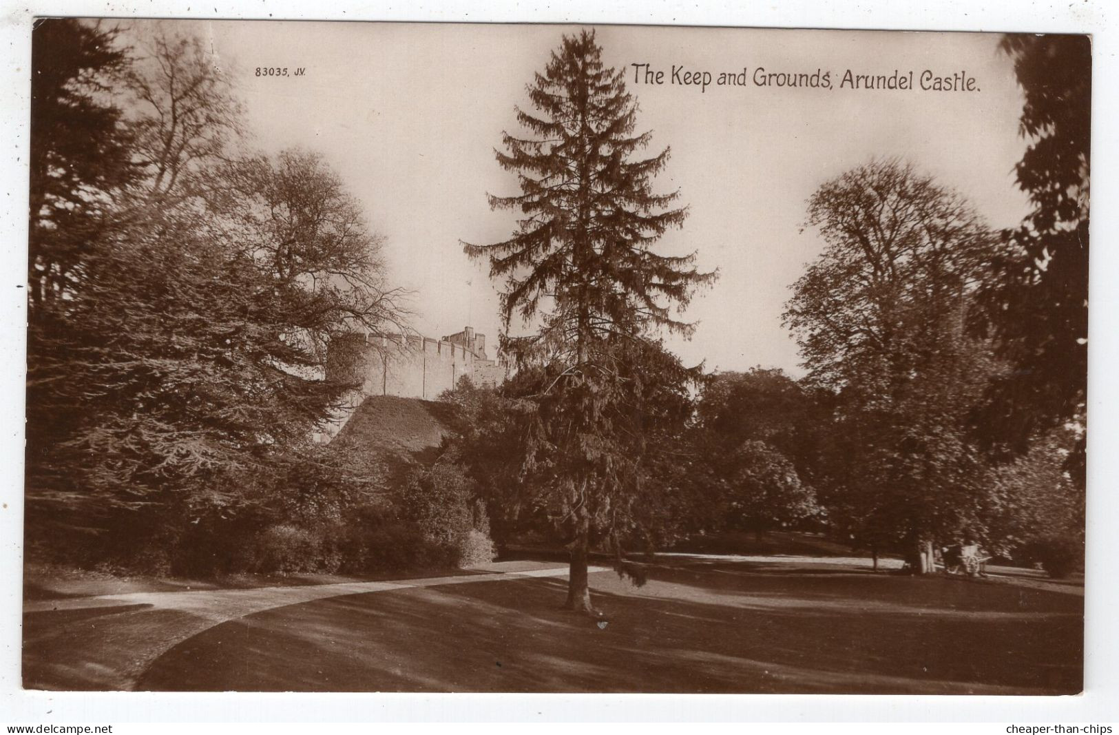 ARUNDEL - The Keep And Castle Grounds - Valentine 83035 - Photographic Card - Arundel