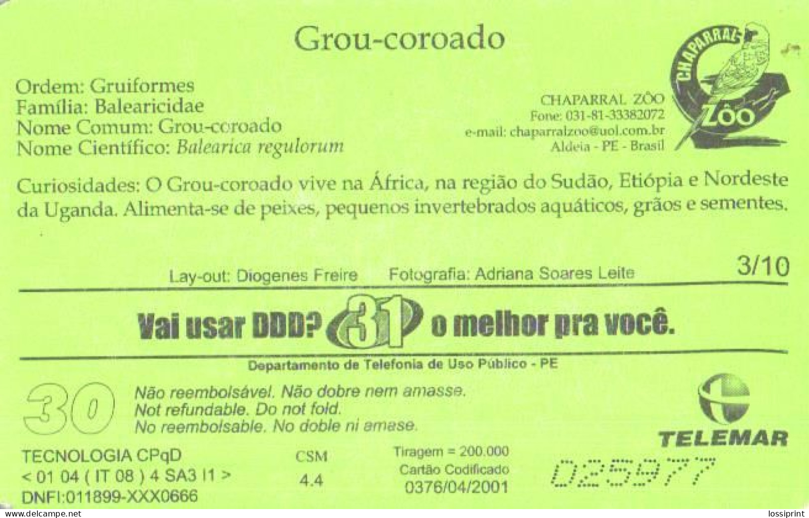 Brasil:Brazil:Used Phonecard, Telemar, 30 Units, Bird, Stork, Balearica Regulorum - Brasilien