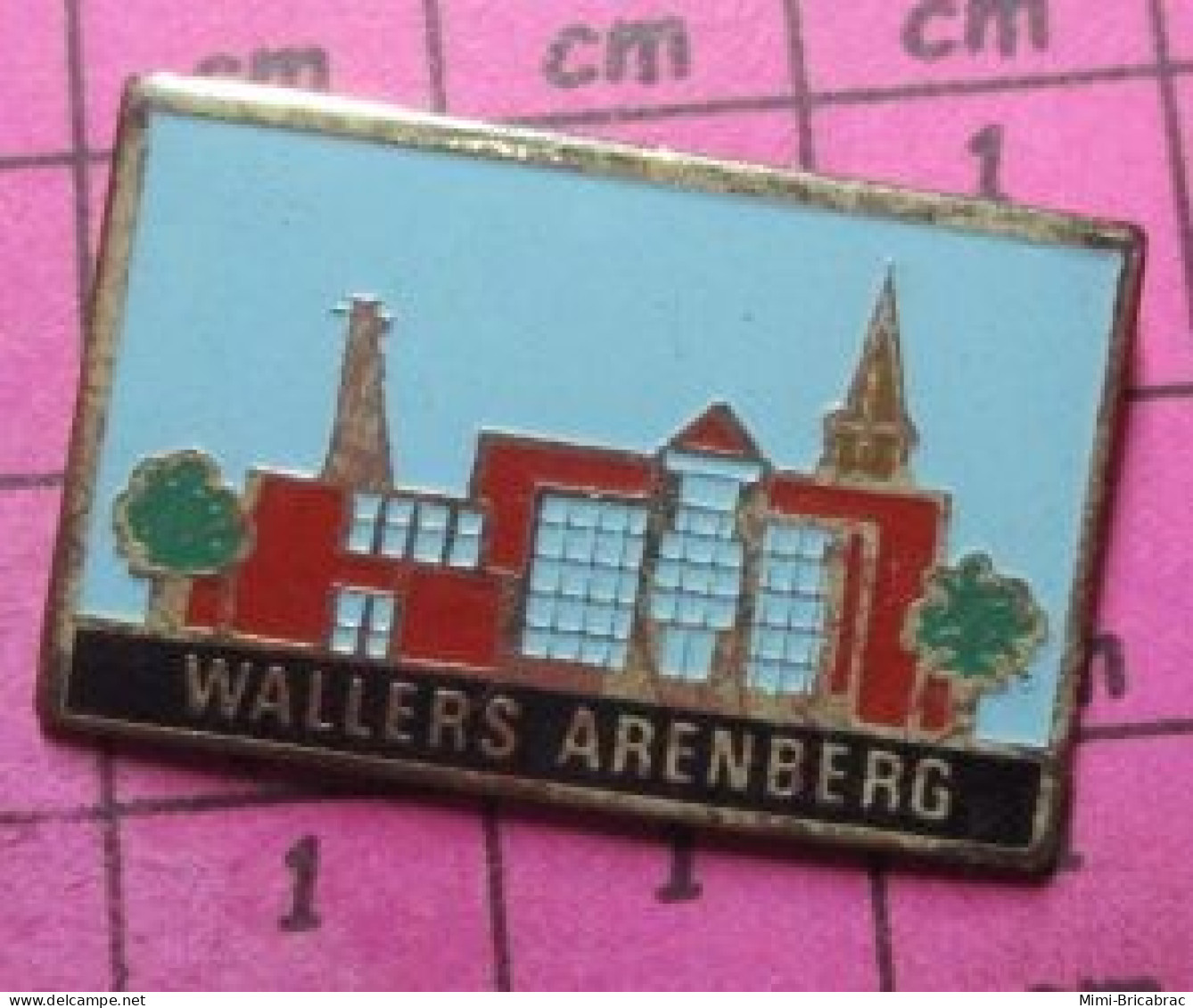 517 Pin's Pins / Beau Et Rare / VILLES / WALLERS ARENBERG - Gymnastique