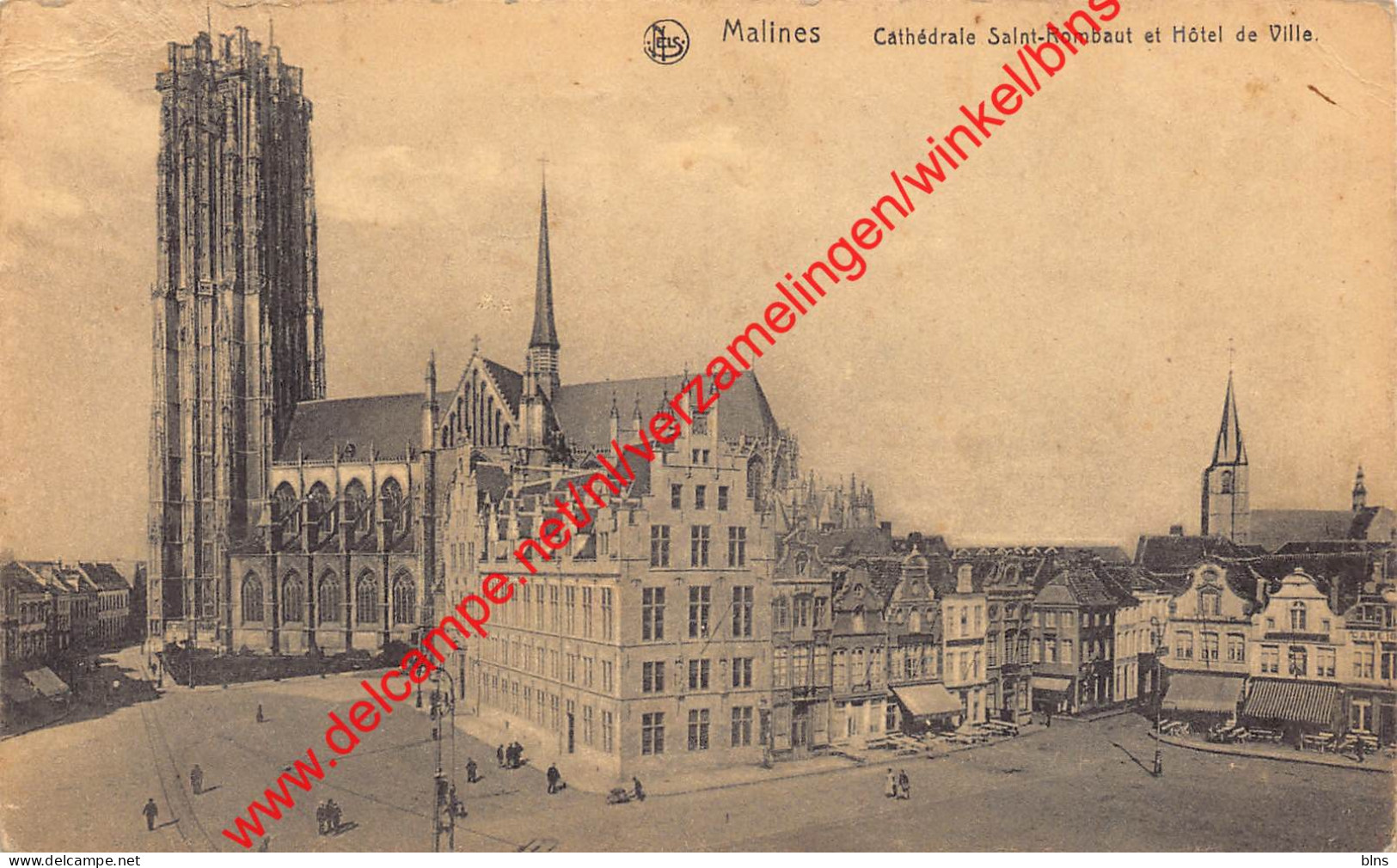 Malines - Cathédrale Saint-Rombaut Et Hôtel De Ville - Mechelen - Malines