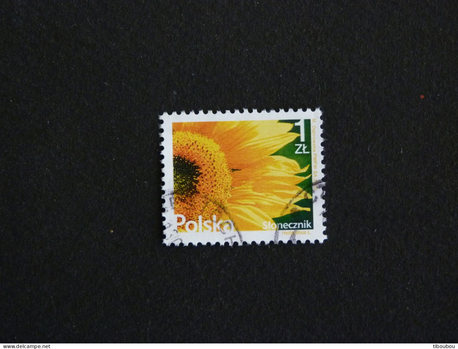 POLOGNE POLSKA POLEN POLAND AVEC YT 4431 OBLITERE - TOURNESOL FLORE FLEUR FLOWER BLUME - Used Stamps