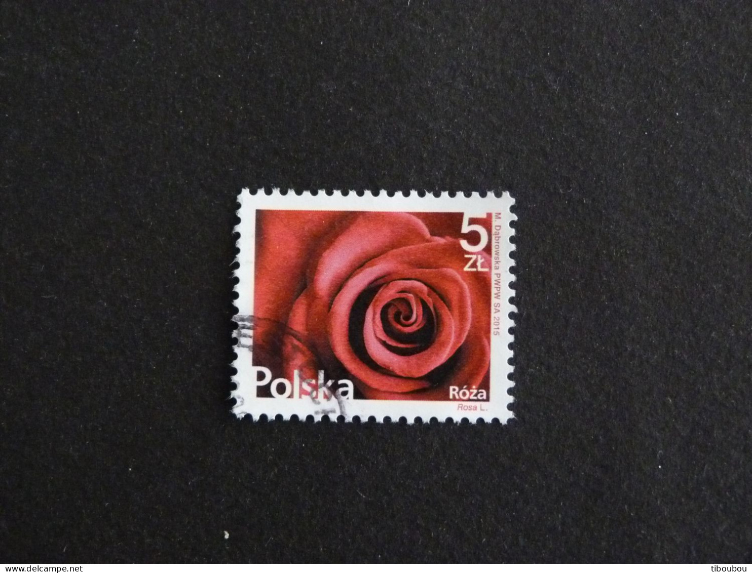 POLOGNE POLSKA POLEN POLAND AVEC YT 4438 OBLITERE - ROSE FLORE FLEUR FLOWER BLUME - Oblitérés