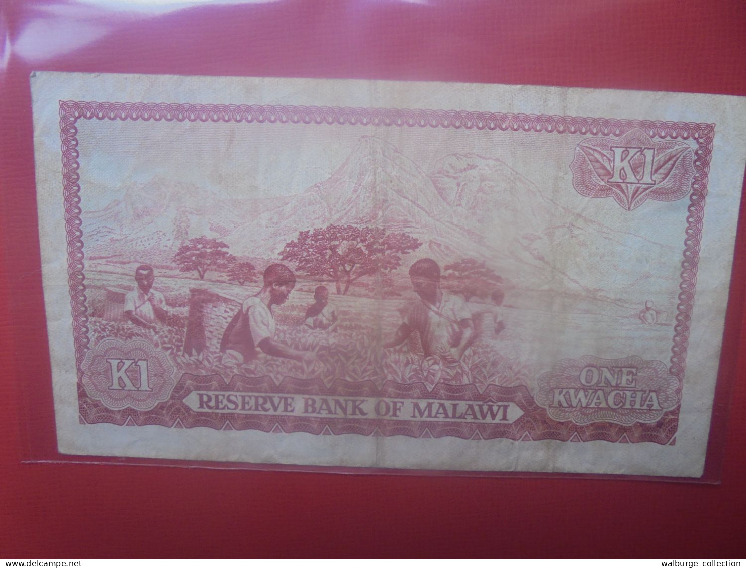 MALAWI 1 KWACHA 1979 Circuler RARE ! COTES:30-200$ (B.29) - Malawi