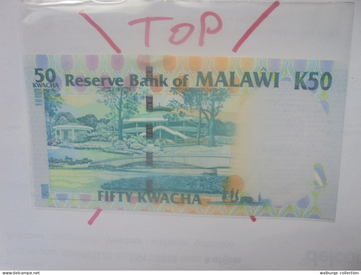 MALAWI 50 KWACHA 2004 Neuf (B.29) - Malawi