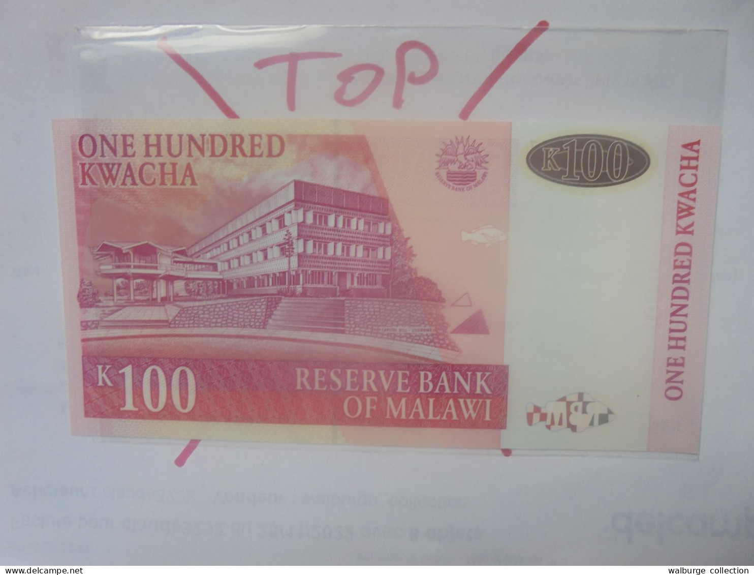 MALAWI 100 KWACHA 2001 Neuf (B.29) - Malawi