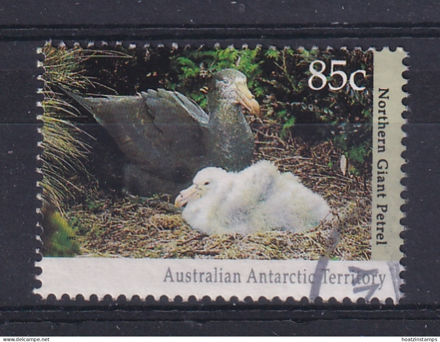 AAT (Australia): 1992/93   Antarctic Wildlife   SG92   85c   Used - Usados