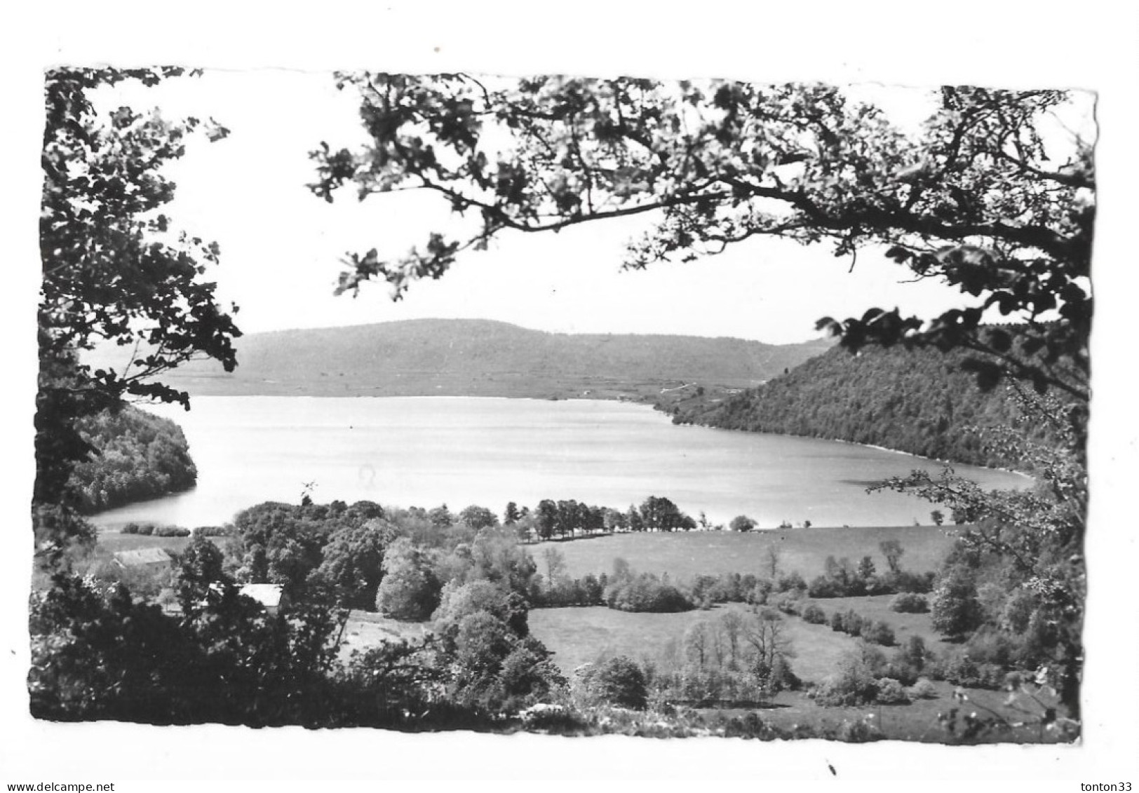 LA FRANCHE COMTE PITTORESQUE - Le Lac De CHALAIN Vu De FONTENU - SAL221/BX - - Franche-Comté