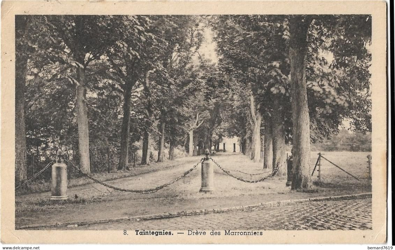 Belgique  -  Taintegnies -  Dreve  Des Marronniers - Rumes