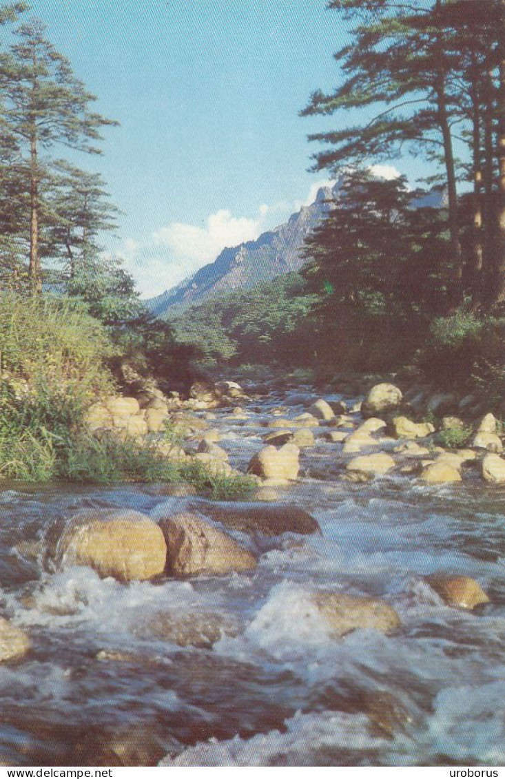 NORTH KOREA - Mt Kumgang-san - The Sujong-chon Stream In Outer Kumgang - Corée Du Nord