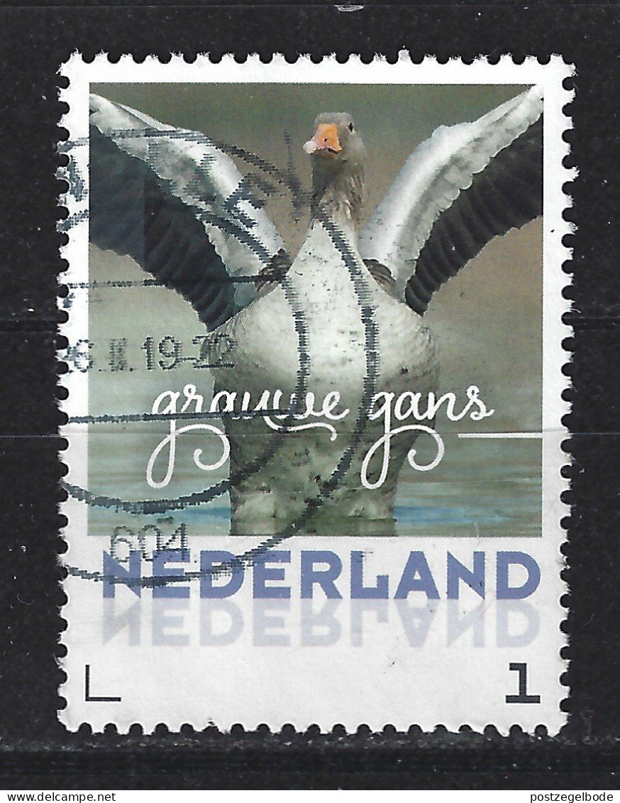 Netherlands Nederland Pays Bas Holanda Niederlande Used ; Grauwe Gans Goose Oie Ganso Vogel Bird Ave Oiseau - Oies