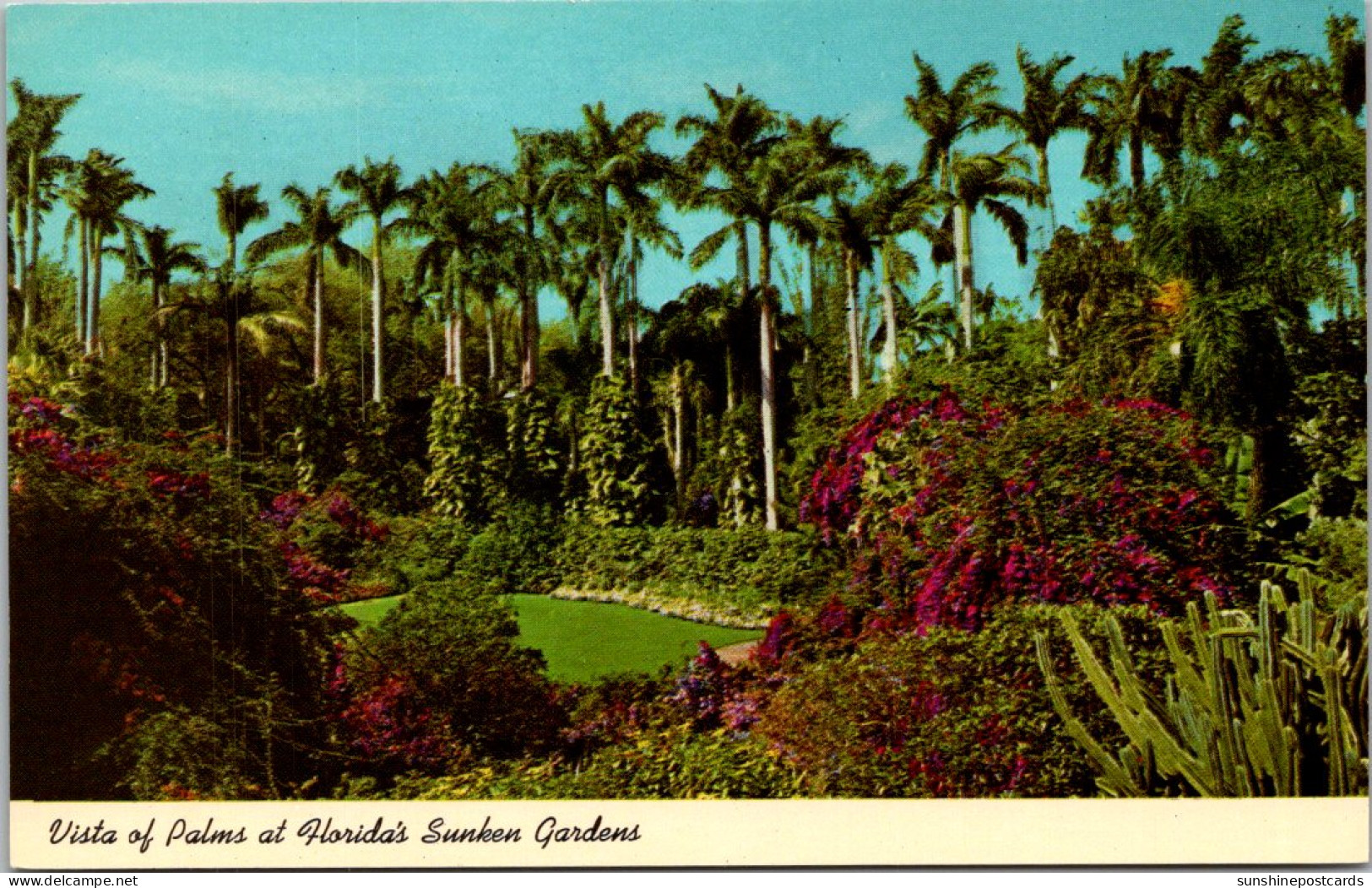 Florida St Petersburg Sunken Gardens Vista Of Palms - St Petersburg