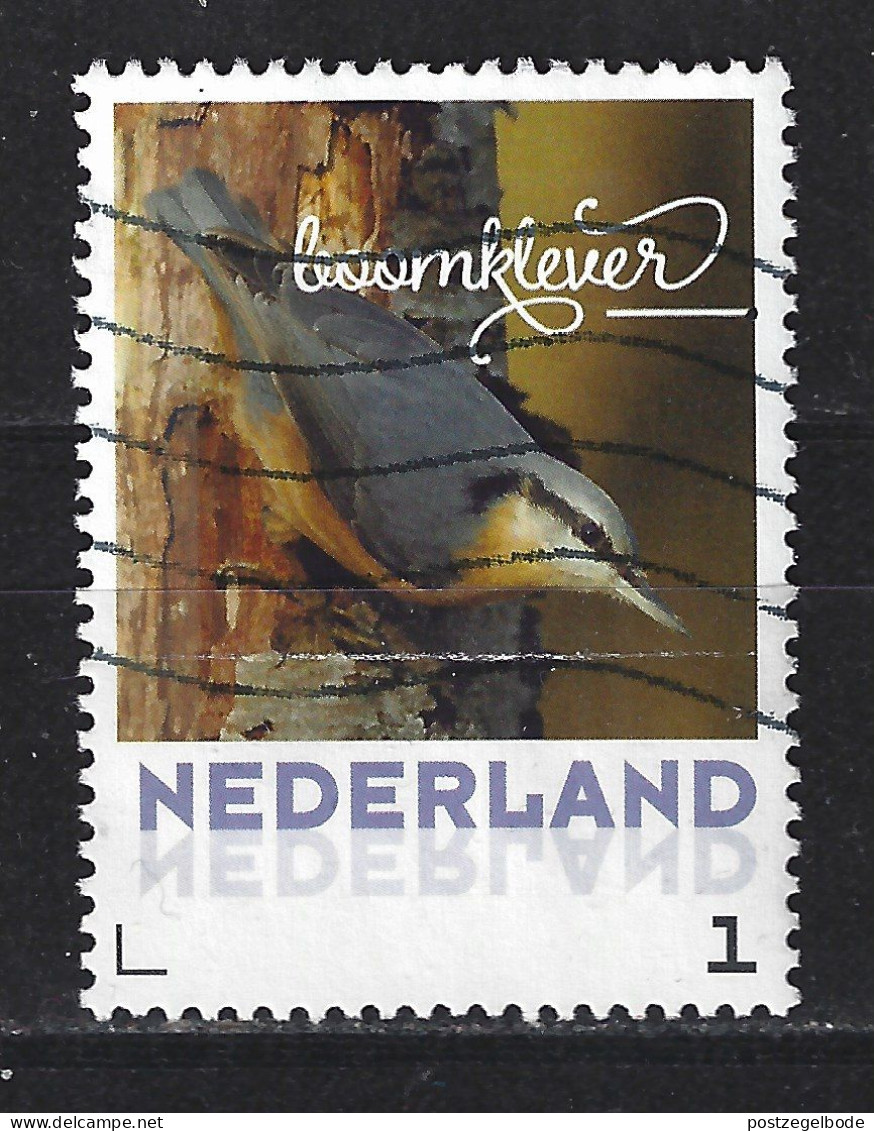 Netherlands Nederland Niederlande Pays Bas Holanda Used ; Boomklever Nuthatch Sittelle Porchepot Vogel Bird Ave Oiseau - Pics & Grimpeurs