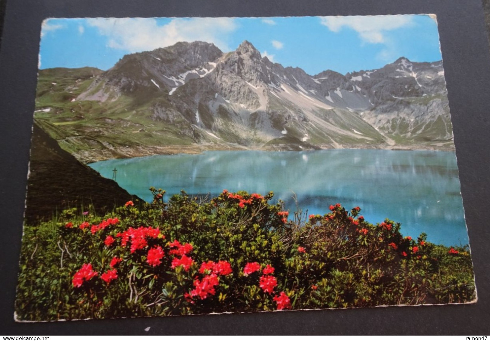 Alpenrosen (Rhododendron Ferrugineum) Am Lünersee, Brandnertal - "Monopol", Verlag Schöllhorn, Innsbruck - # P 652 - Brandertal