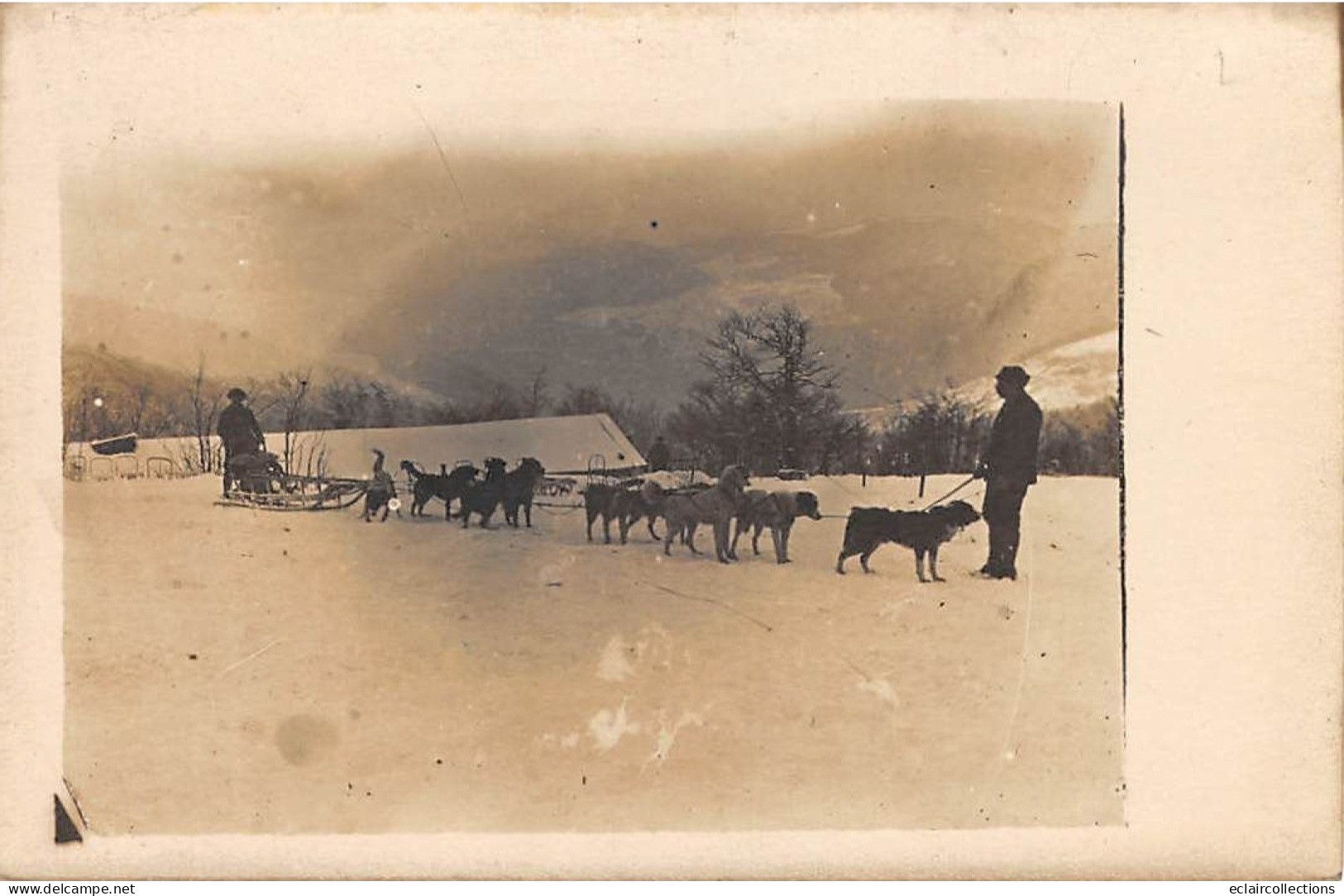 Non Localisé      88         Attelage De Chiens De Traineau Dans La Neige - Carte Photo -     (voir Scan) - Other & Unclassified